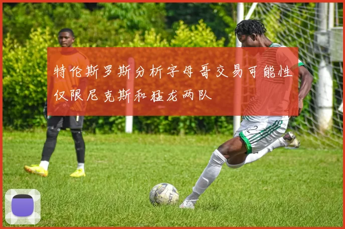 特伦斯罗斯分析字母哥交易可能性仅限尼克斯和猛龙两队