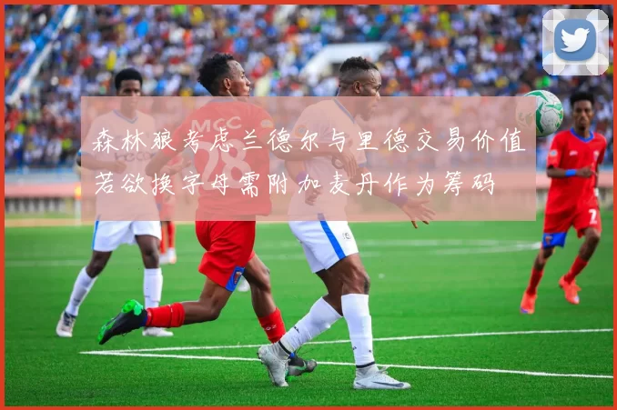 森林狼考虑兰德尔与里德交易价值若欲换字母需附加麦丹作为筹码