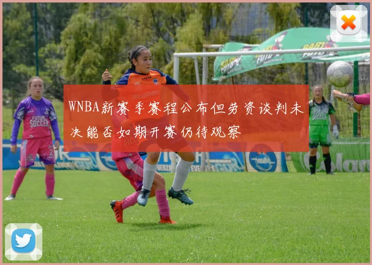 WNBA新赛季赛程公布但劳资谈判未决能否如期开赛仍待观察